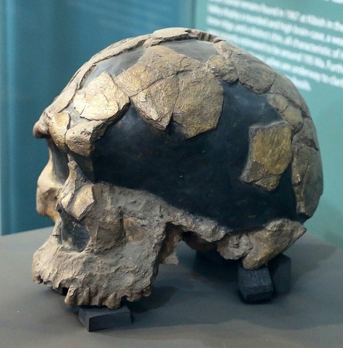 160 000-летние окаменелые черепа, обнаруженные в Эфиопии, являются древнейшими анатомически современными людьми, изображение №2
