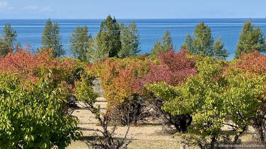 «Сказка» странствий