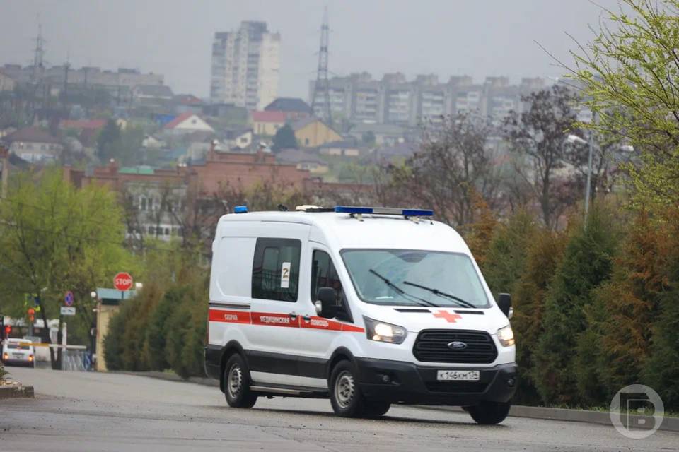 Что нельзя делать при укусе гадюки, объяснили волгоградские врачи