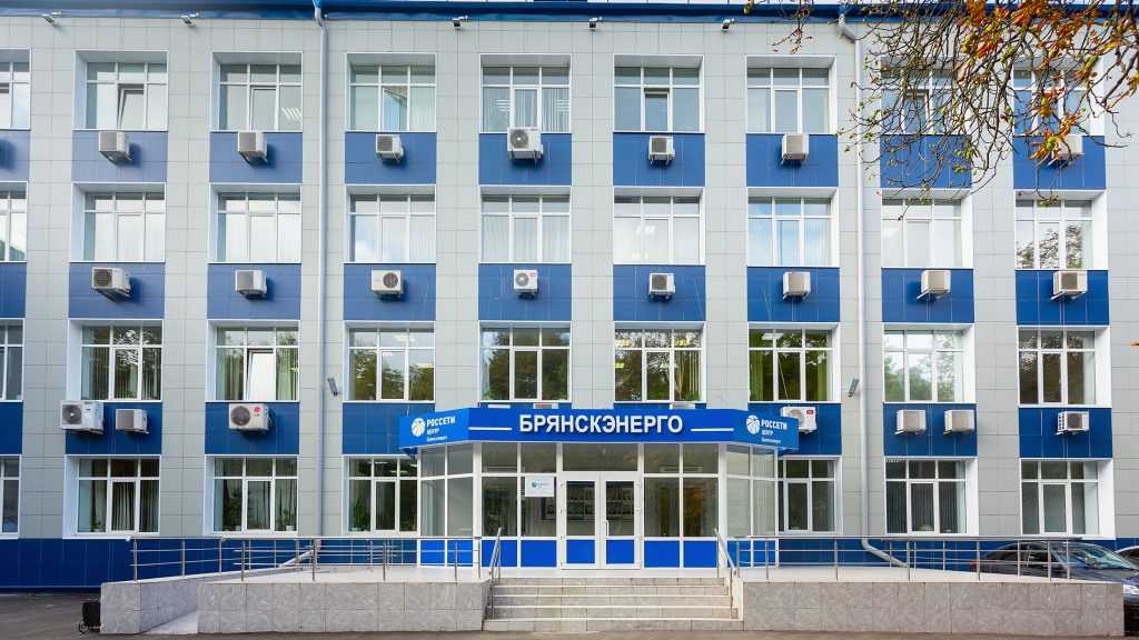 Более 50 мероприятий провел Совет молодежи «Брянскэнерго» в 2023 году