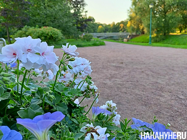 Фото: Накануне.RU