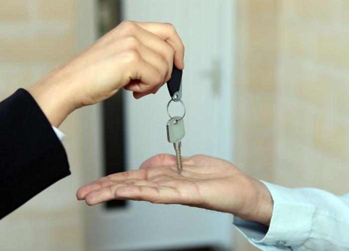 Арендодатель посуточных квартир в Беларуси скрыл от налоговой 84 квартиры