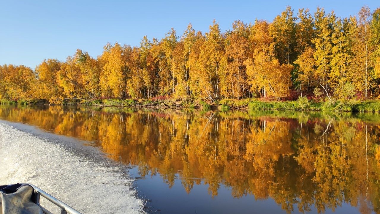 Сеть особо охраняемых природных территорий в Югре расширили до 2,5 миллионов гектаров