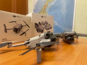 Местообитания диких северных оленей находятся под особым контролем в Камчатском крае 2