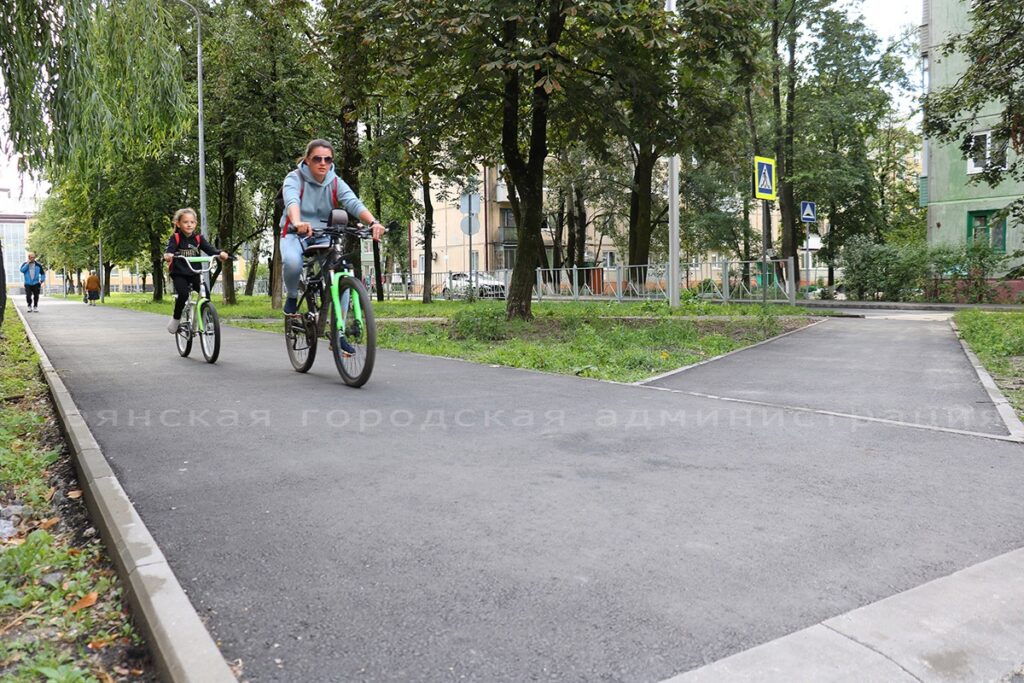 Доманов дмитрий николаевич брянск фото