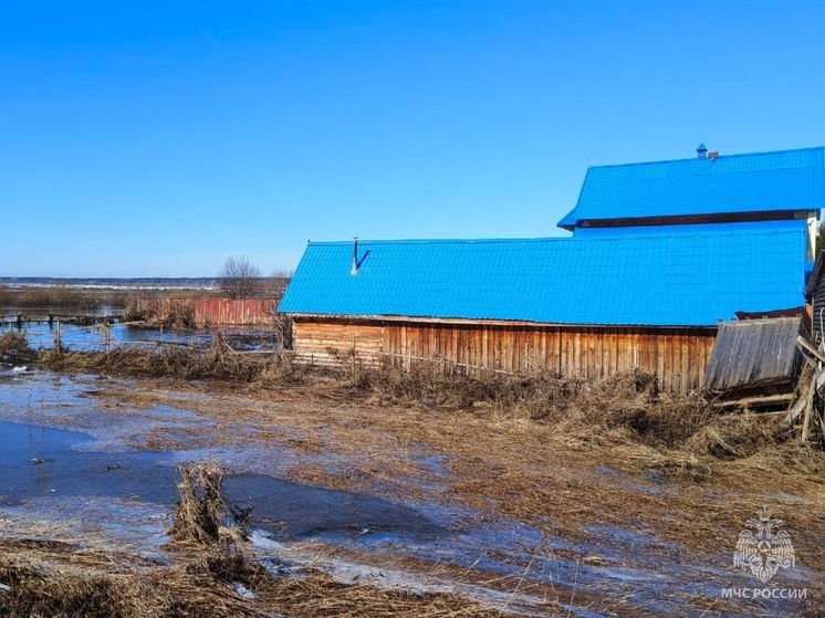 В Томском районе подтопленными остаются 5 жилых домов