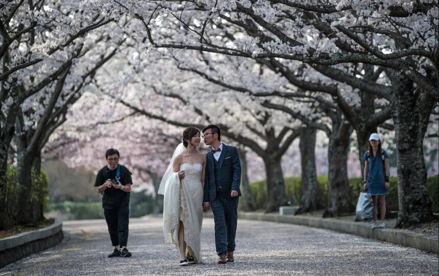 Женщины в Японии не хотят брать фамилии мужей. Фото Getty