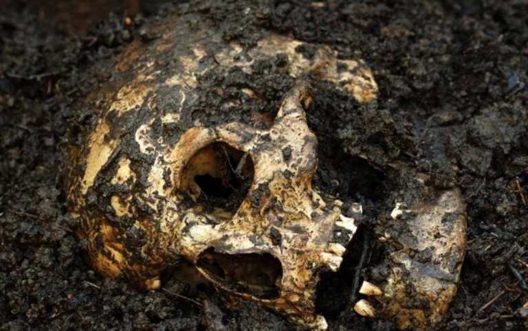 Ученые раскрыли загадку «человека-единорога»