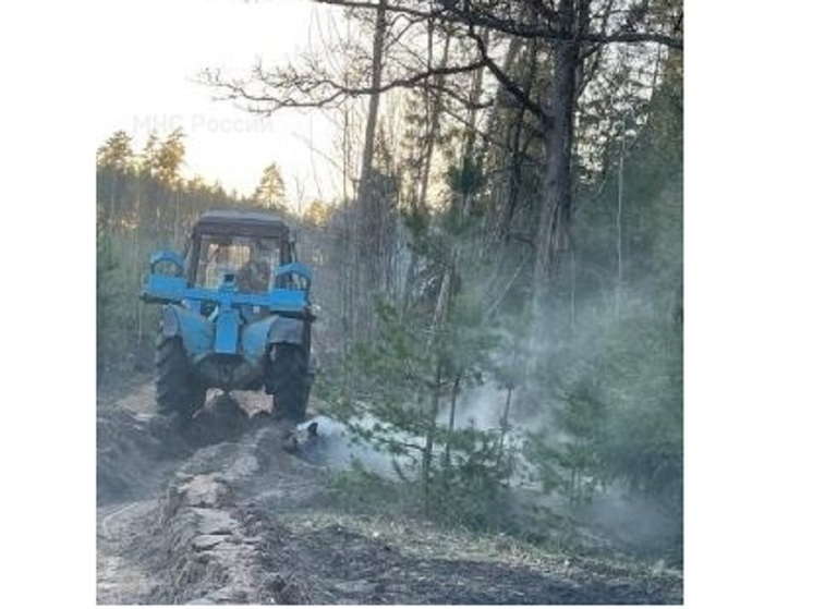Первый лесной пожар зафиксирован в Калужской области