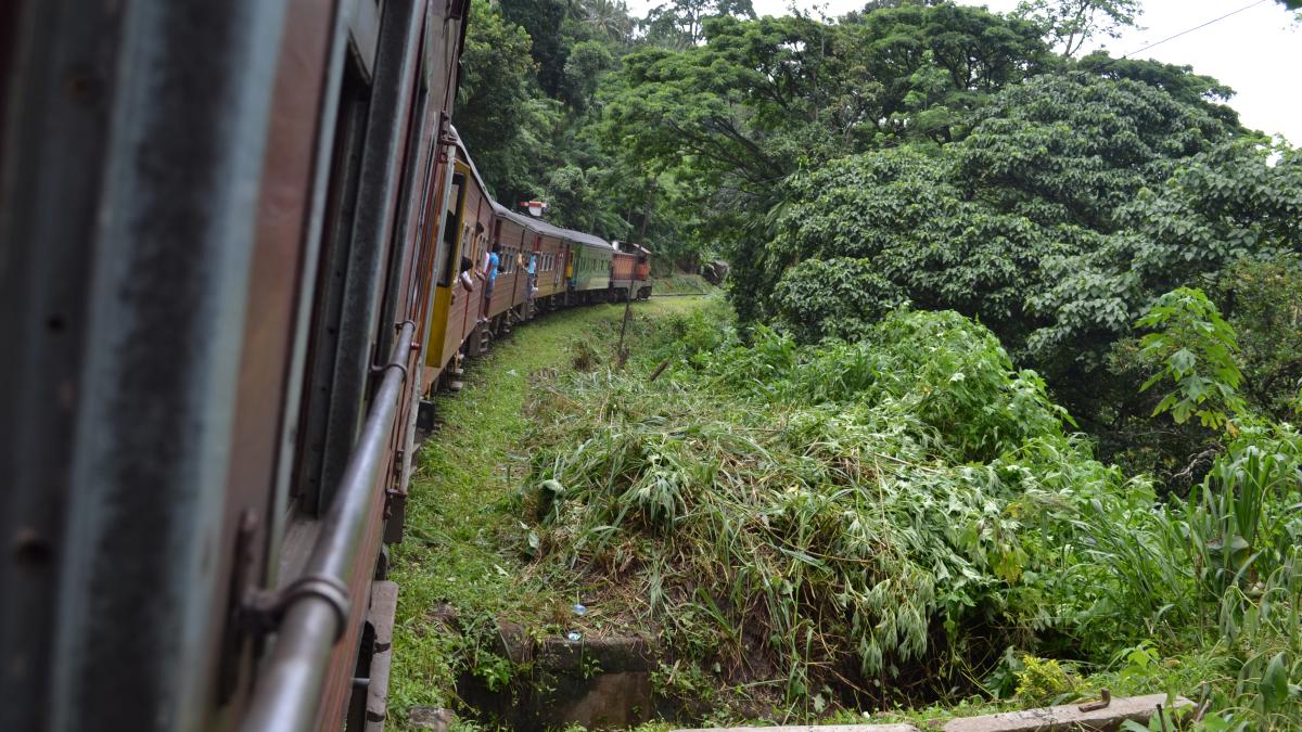 Поезд Шри-Ланка