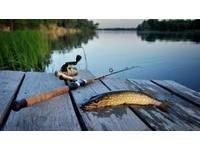 На водоемах Ивановской области вводятся ограничения на рыбную ловлю