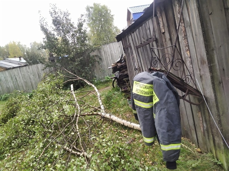 Спасатели вернули электричество в поселки Карелии, где похозяйничал шторм