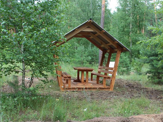 Невидимая угроза. В чём особенности отдыха на природе в зоне повышенного риска - Изображение 