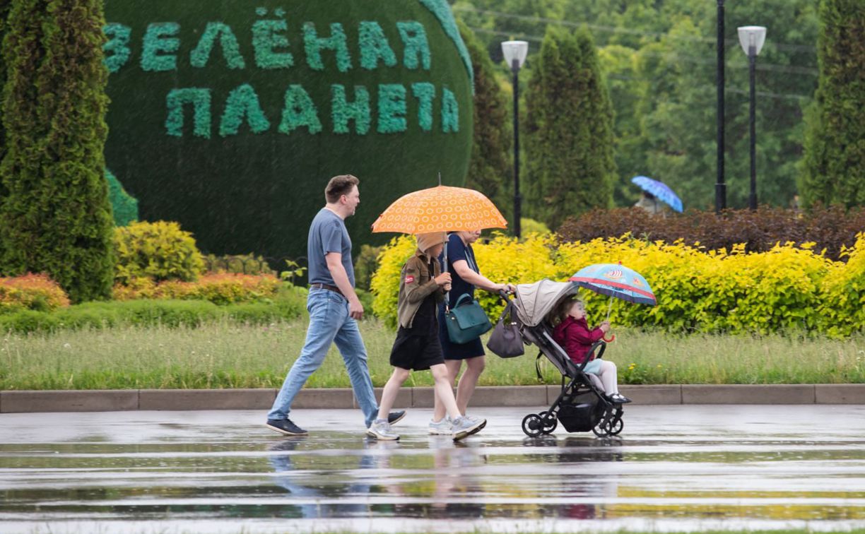 12 июля будет дождь. Атмосферные фото Тулы.