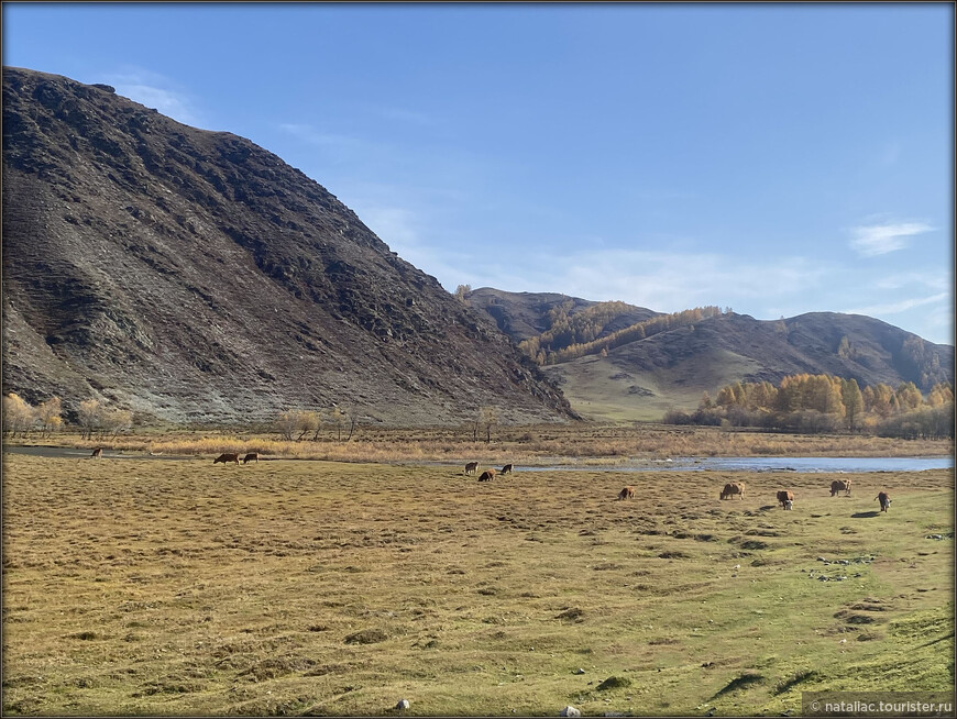 «Осенние краски Уймонской долины». Дорога, база и первые эмоции