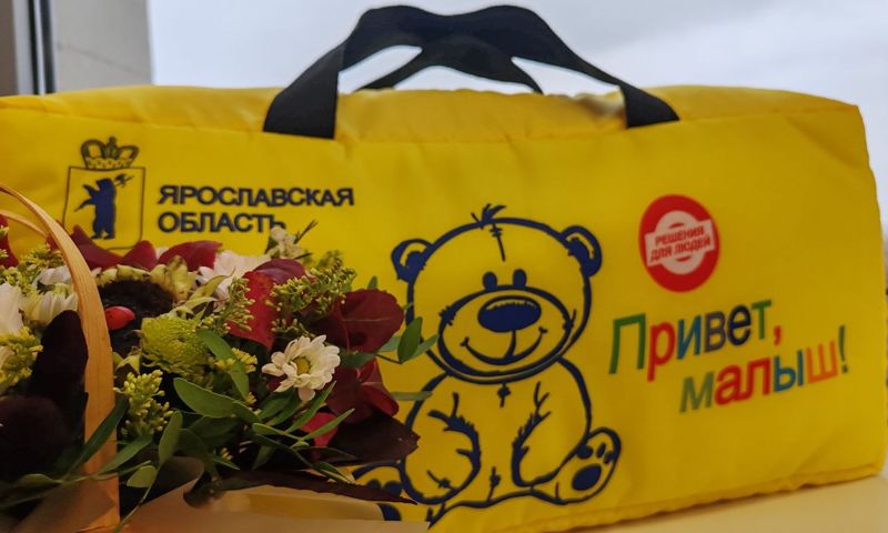 Подарки для новорожденных в Ярославской области предлагают закрепить законодательно