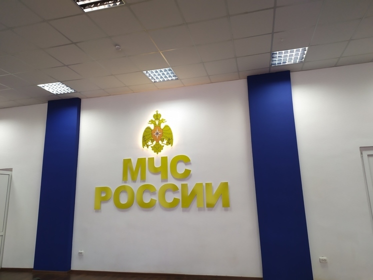 Начальник МЧС России по Вологодской области покинул свой пост