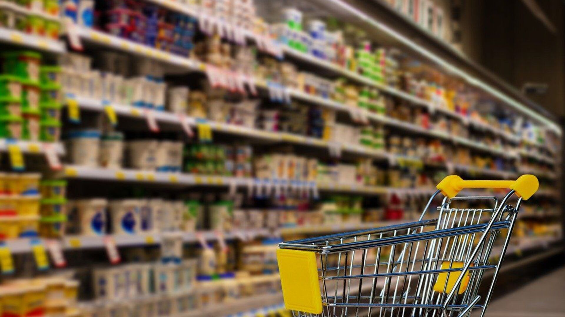 Продуктовая тележка в супермаркете - Sputnik Казахстан, 1920, 08.09.2023