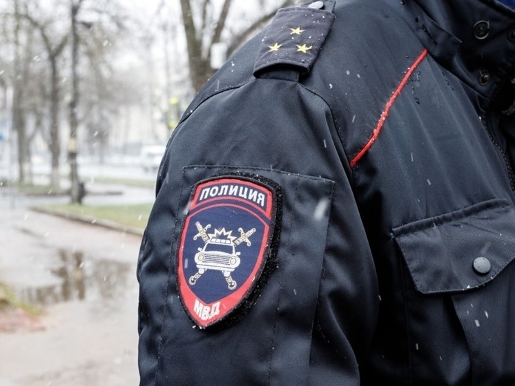 УМВД в Псковской области проводит проверку по факту оскорбления участника СВО