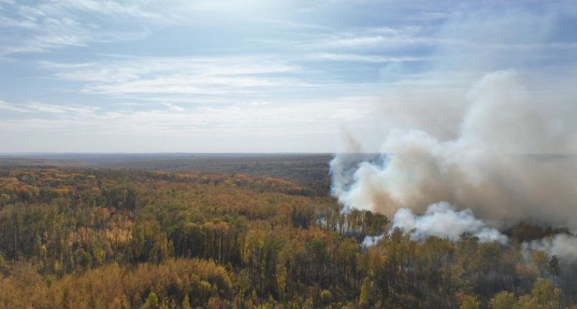 В лесах Мордовии завершился пожароопасный сезон