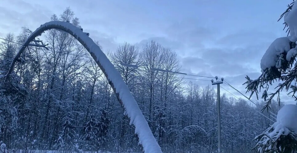 Из-за снега регистрируются новые отключения света на Новгородчине