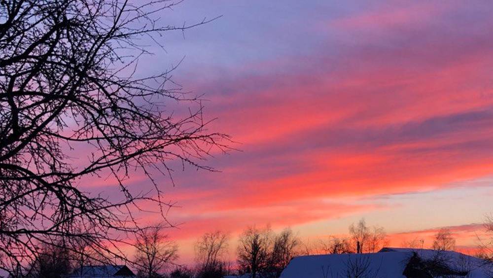 В Брянскую область ночью 23 января придёт 15-градусный мороз