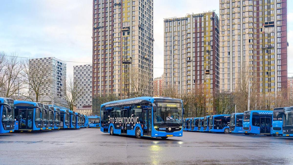 электробусы