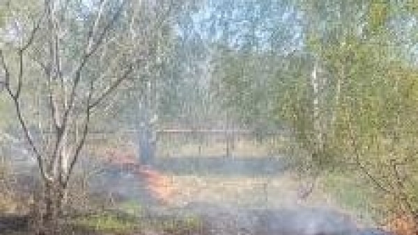 В Самарской области загорелось 100 квадратных метров травы