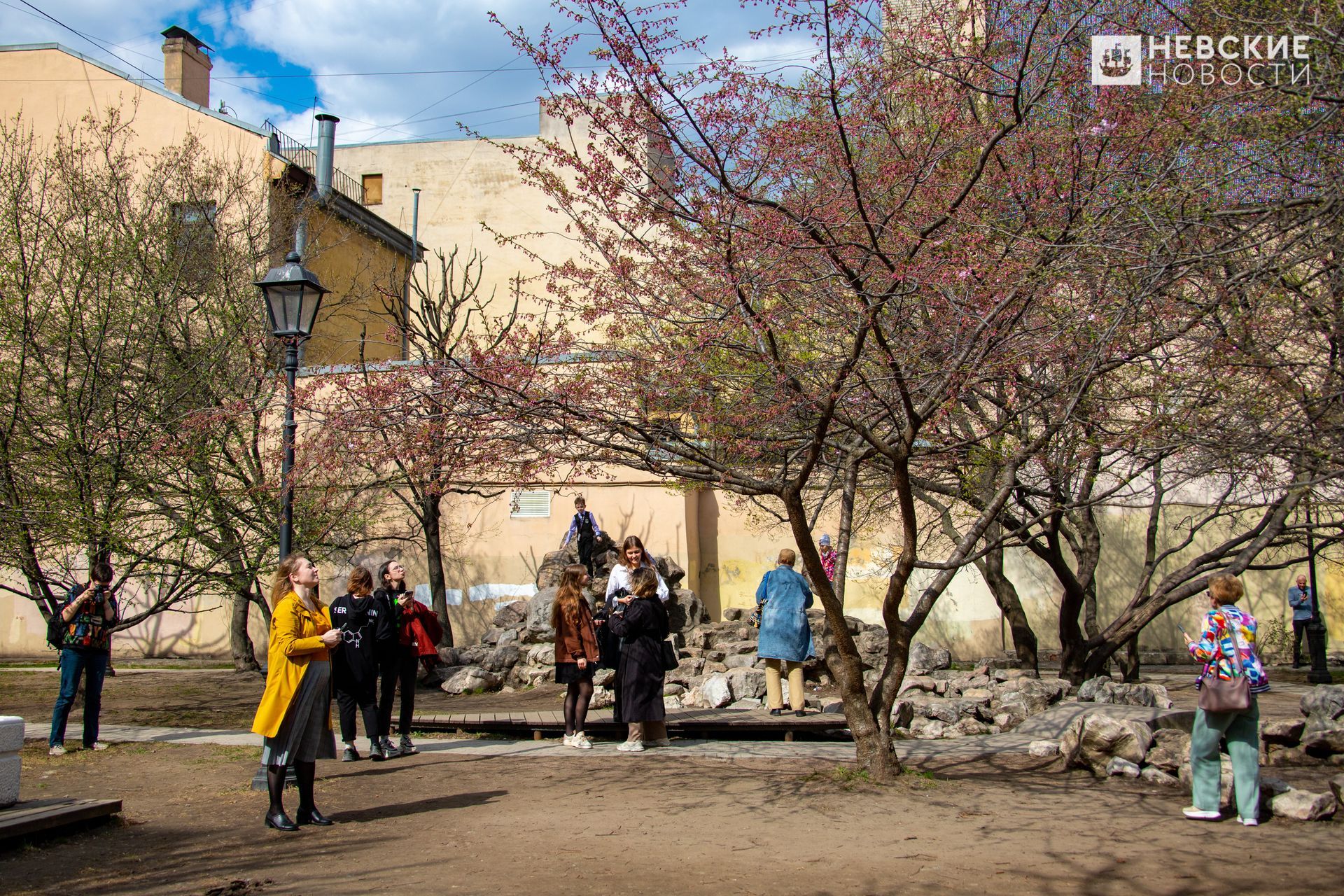 сад дружбы в санкт петербурге