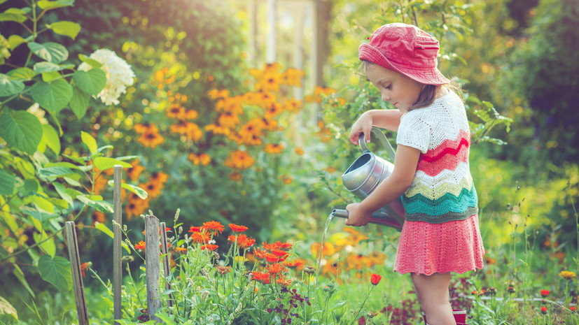 Дачникам напомнили, как вести себя на участках во время жары