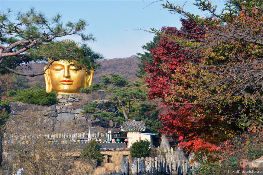 Танпхун - фольклор, этнография и лесной храм