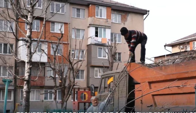 Во Владикавказе начался сезон обрезки деревьев. 