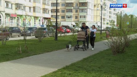 Минтруд РФ предложил установить МРОТ в 2026 году в размере 27 093 рублей
