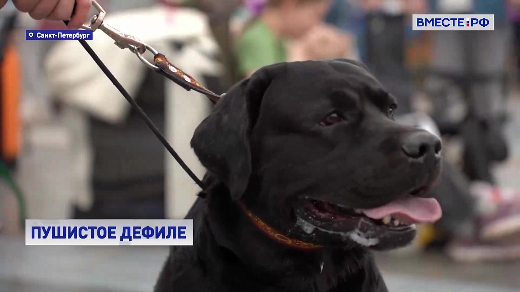 Local video