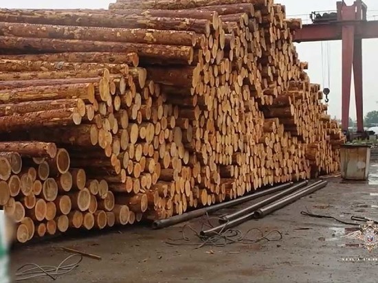 Контрабанду леса на пять миллионов выявили в Приангарье