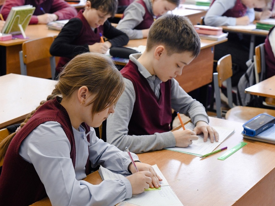 предлагают ввести в школах