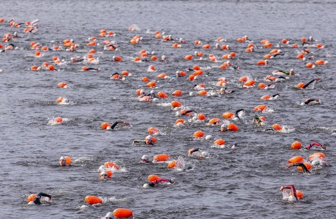 Заплыв на открытой воде