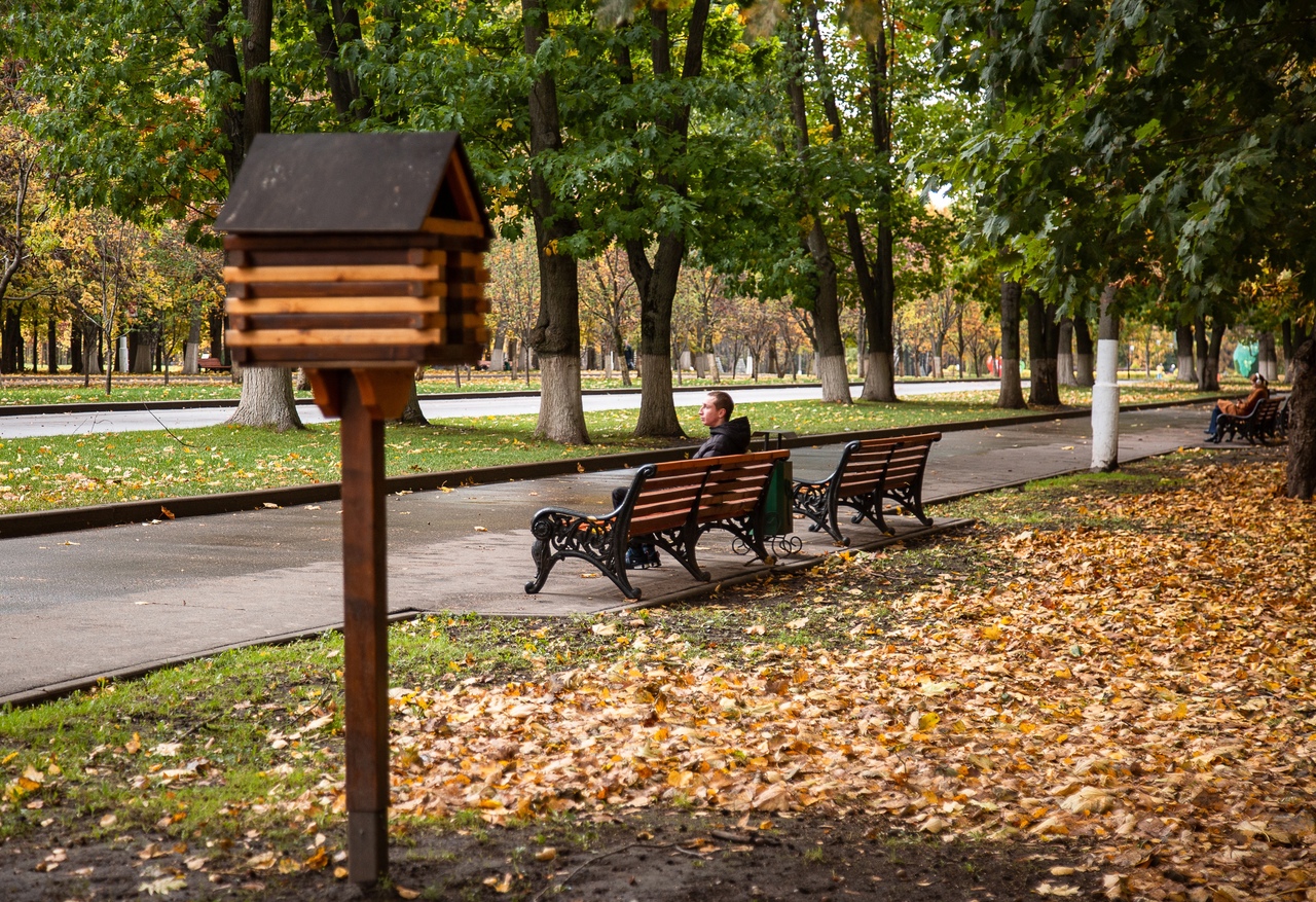 10 октября тула. Осень в Туле мемы.