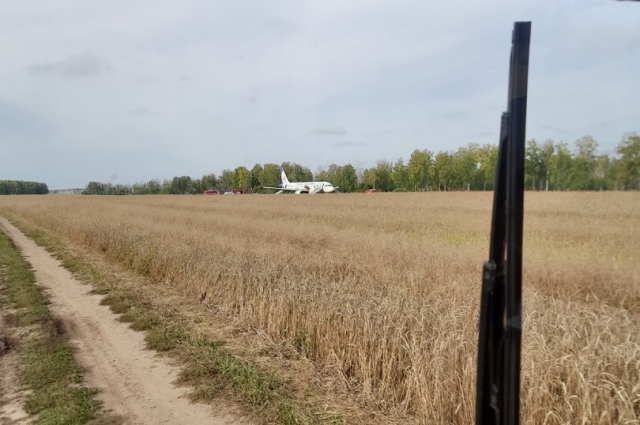 По началу в поле к самолёту приезжали туристы.