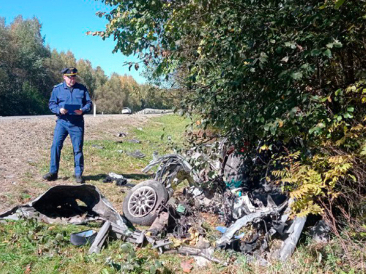 Ростовчанину-дальнобойщику дали 14 лет лишения свободы за смертельное ДТП в Амурской области