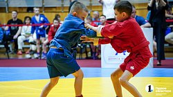 В Челябинске провели Фестиваль борьбы по трем единоборствам