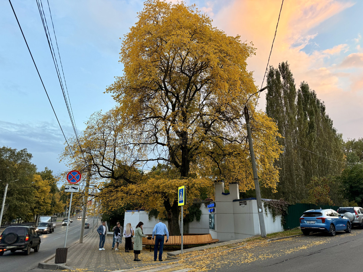 Ботанический сад