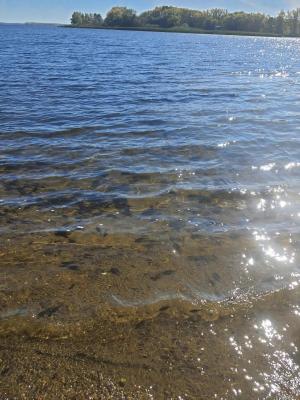 На Волгоградском водохранилище начал действовать нерестовый запрет