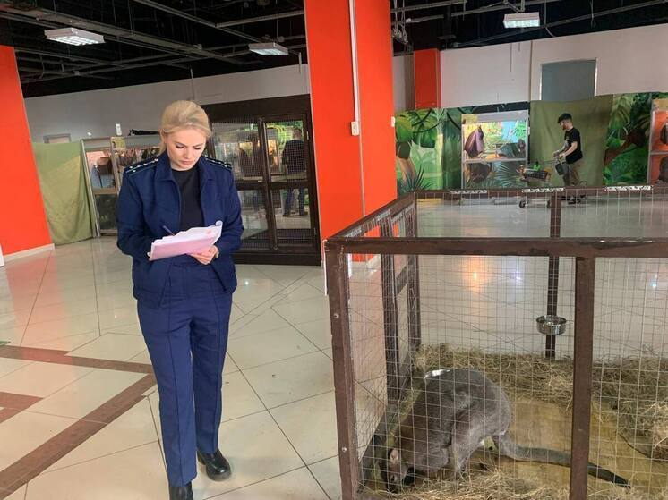 Омский зоопарк Zooland попал под внимание прокуратуры