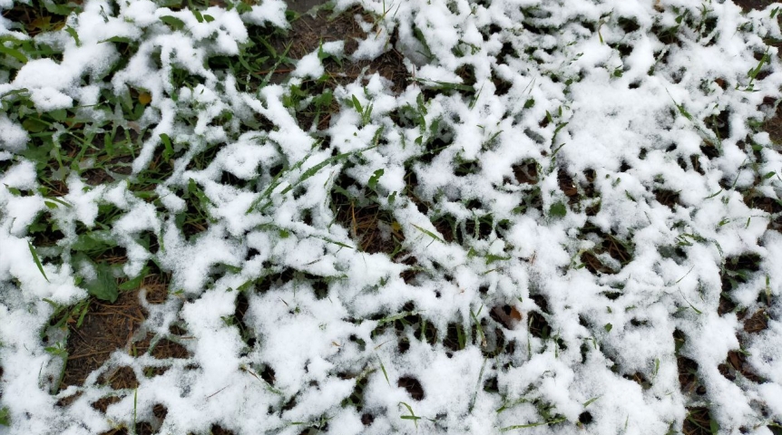Где в области выпал снег. Снегопад. Сильный снегопад. Снег в апреле картинки. Сибирь Омск снега.