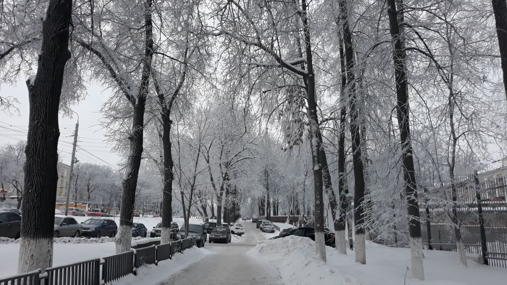 В нижнем новгороде выпало осадков