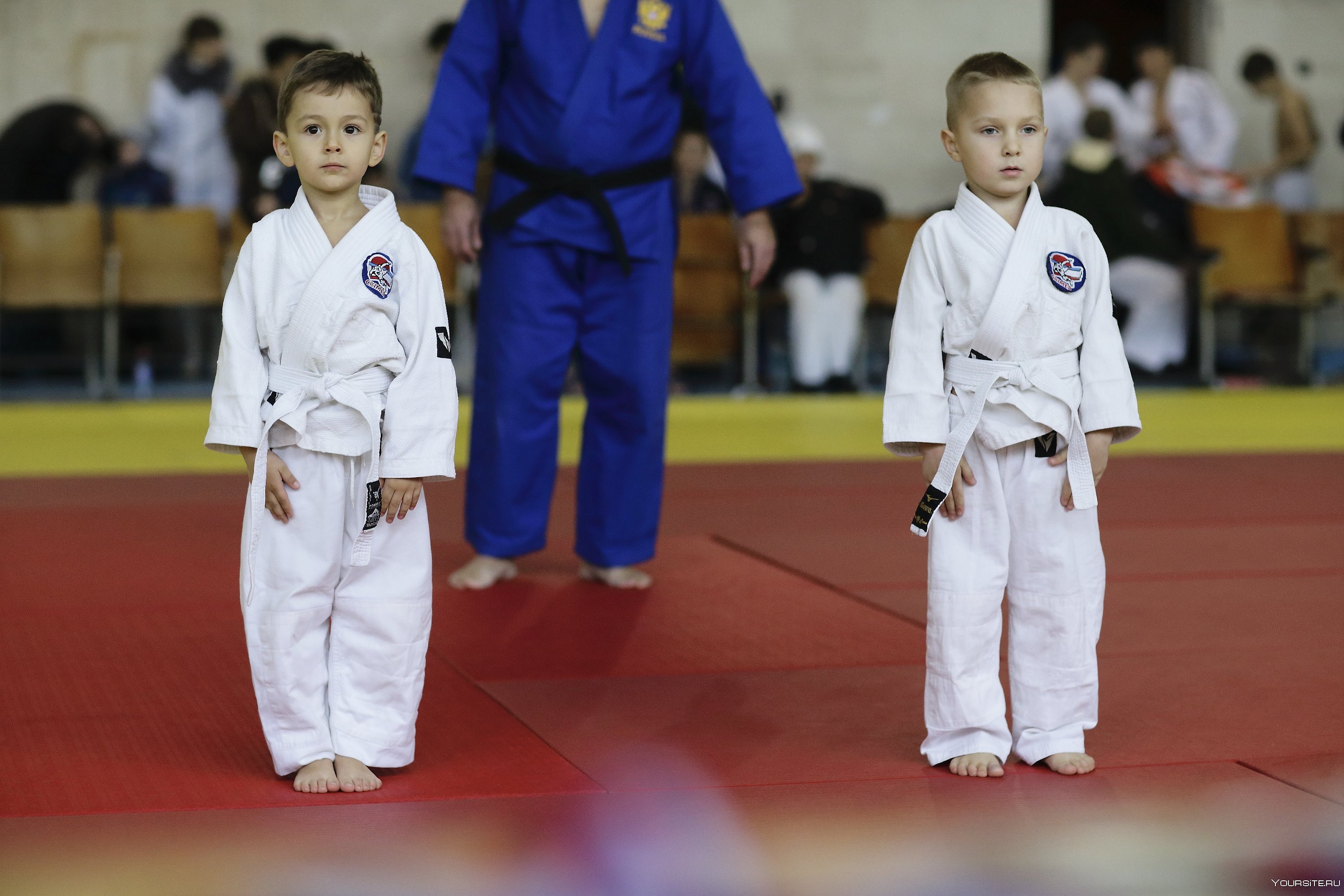 Дзюдо картинки. Дзюдо дети. Детское дзюдо. С днем дзюдо ханты-мансийск. Дзюдо для детей ростов.