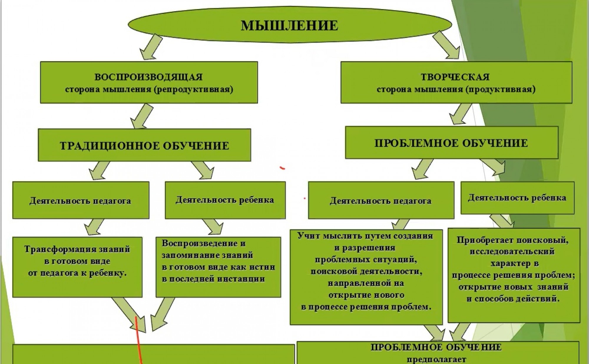 Специалисты образовательных организаций