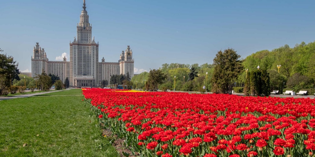 Московский госуниверситет имени Ломоносова. Фото: mos.ru (CC BY 4.0)###https://www.mos.ru/news/item/99302073/?utm_source=search&utm_term=serp