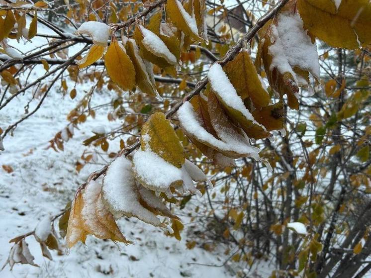 В Алтайском крае на выходных ожидается ухудшение погодных условий